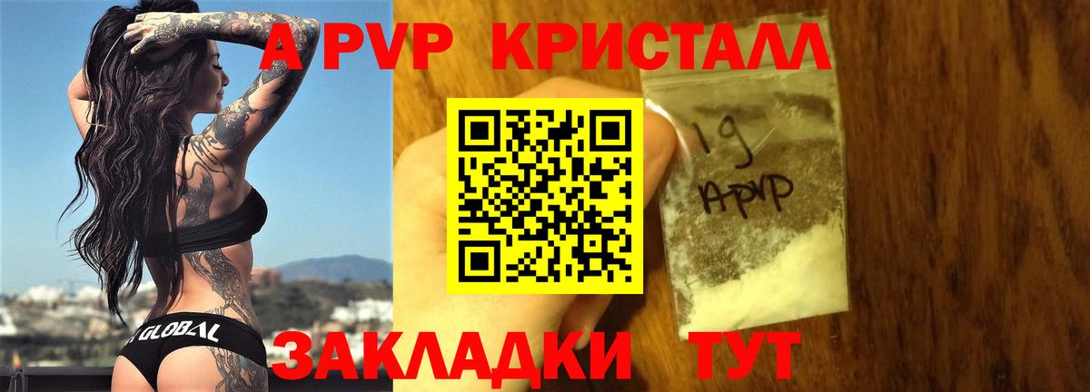 A PVP крисы CK Лениногорск