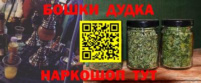 spice Кандалакша