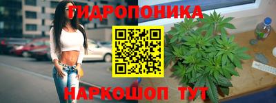 spice Кандалакша
