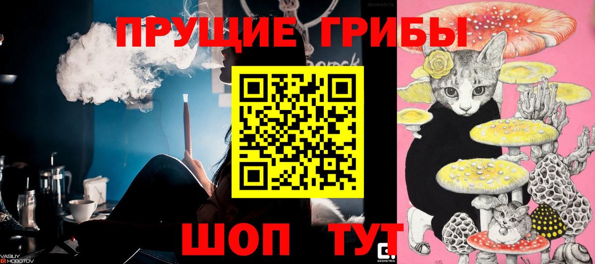 Псилоцибиновые грибы ЛСД  Вход с VPN  Лениногорск  Псилоцибиновые грибы Cubensis 